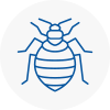 Bed Bug Extermination In Cricklewood