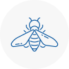 Bee Nest Removal Cricklewood