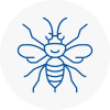Cricklewood Hornet Nest Removals