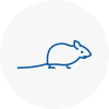 Mice Exterminators In Cricklewood