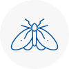Moth Control Specialists In Cricklewood