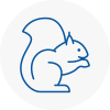 Cricklewood Rodent Removals